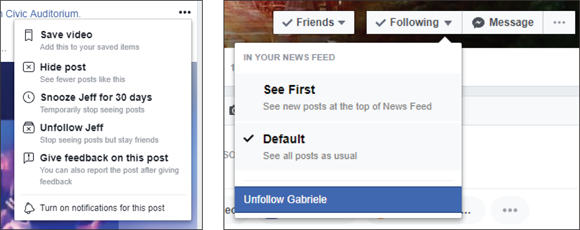 Screen captures of a drop-down menu with Turn on notification for this post option and a drop-down menu below Following box with See First, Default, and Unfollow Gabriele options. 
