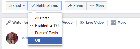 Screen capture of a bar on a dialog of a Group in Facebook with the options Highlights, Off, and All Posts below Notifications button.