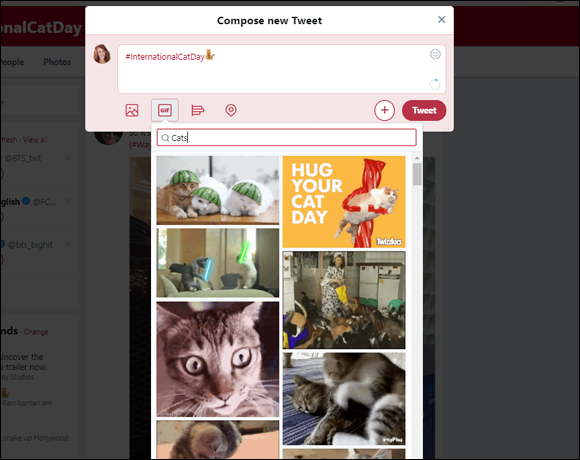 Screen capture of Tweet message box with the text Cats in the search box for GIFs with a list of images of cats.