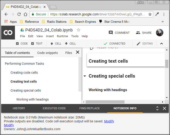 Screenshot of a dialog box displaying the Colab page depicting the notebook information that includes both size and settings.