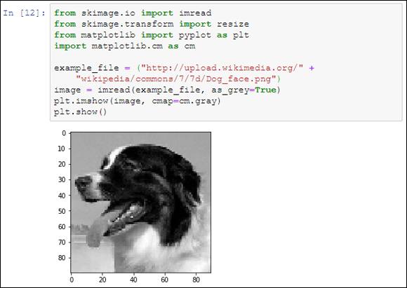 Screenshot of the imshow( ) function displaying the image of a dog that appears onscreen. 