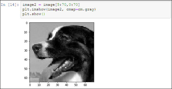 Screenshot depicting how cropping an image makes it smaller in size; here, the image of the same dog.