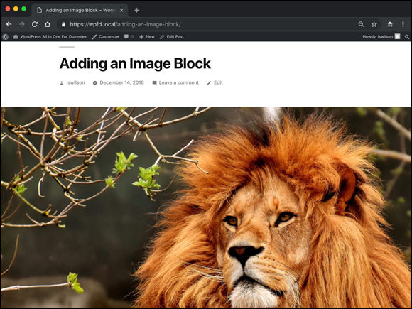 Screenshot depicting the example for adding an image block with full width setting, displaying the picture of a lion.
