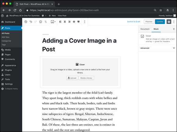 Screenshot displaying a text in the Cover block of the WordPress Block Editor for adding a cover image in a post.