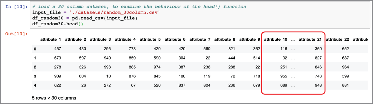 Screenshot of the head() function displays truncated data for large dataframes.