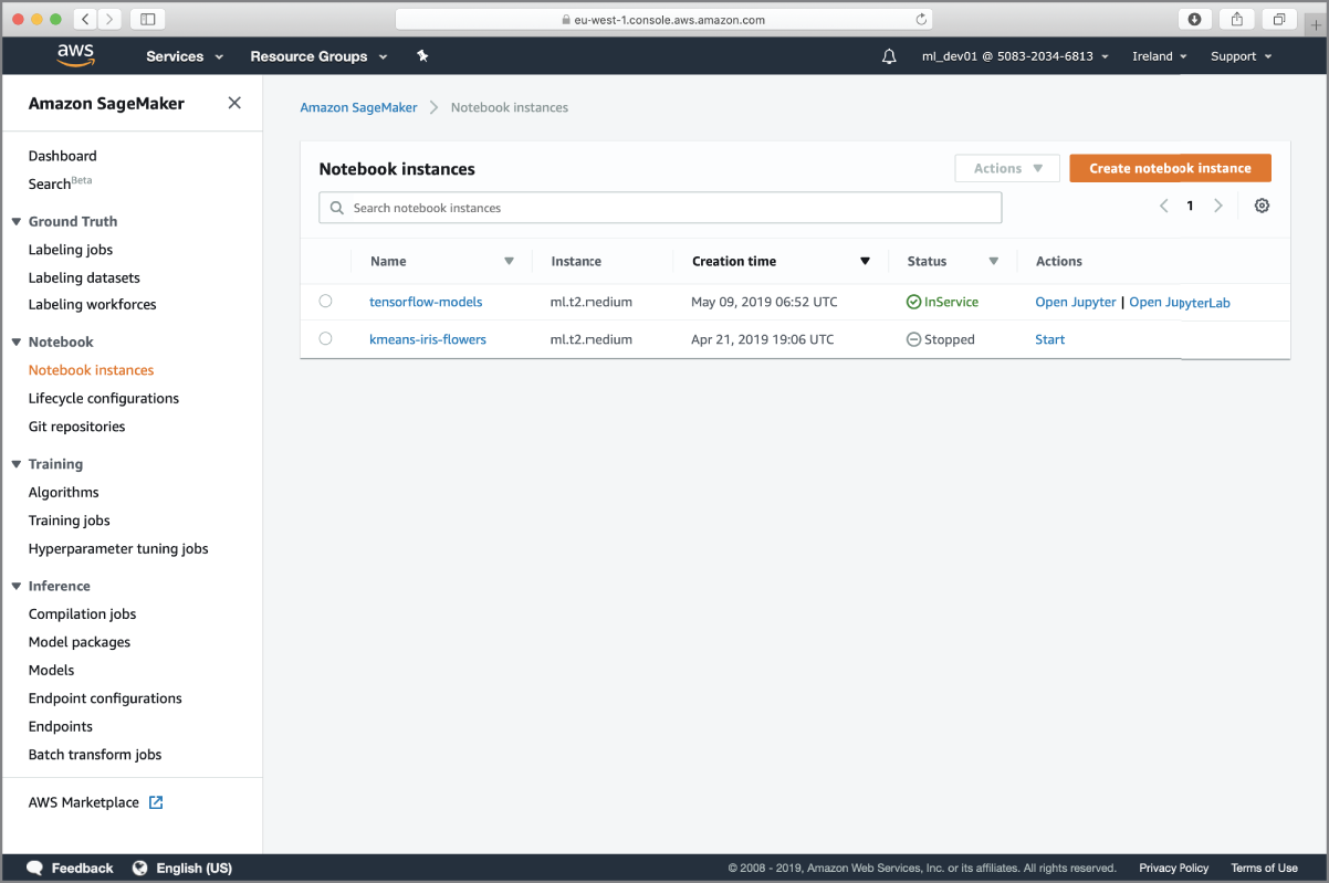 Screenshot of Amazon SageMaker management console showing the new notebook instance.