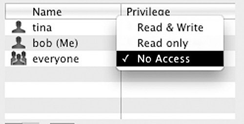 A screenshot of the pop-up menu to select the file permissions is shown. The pop-up menu displayed under the Privilege column for the name “Everyone” includes the options Read and write, Read only, and No Access with the No access option selected.