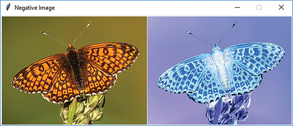 A window titled negative image shows an original image and a negative image of a butterfly.