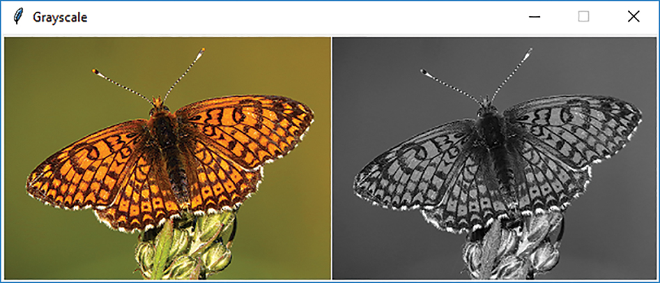 A window titled grayscale image shows an original image and a grayscale image of a butterfly.