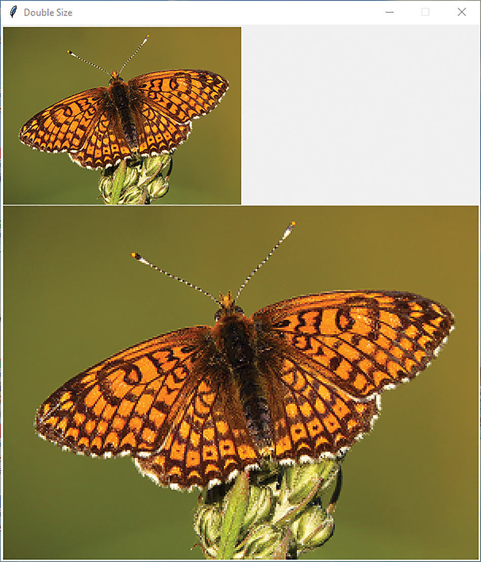 A window titled Double size shows the original image and an enlarged image of a butterfly.