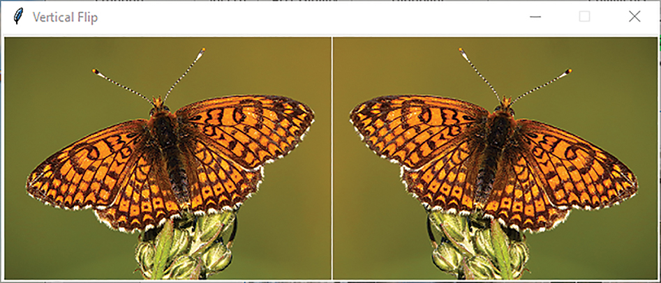 A window titled vertical flip shows an original image and a flipped image of a butterfly.