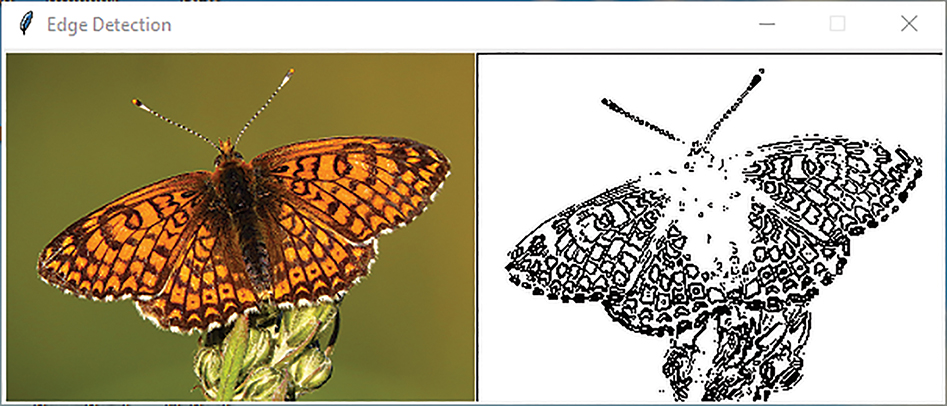 A window titled edge detection shows an original image and the edge image of a butterfly.