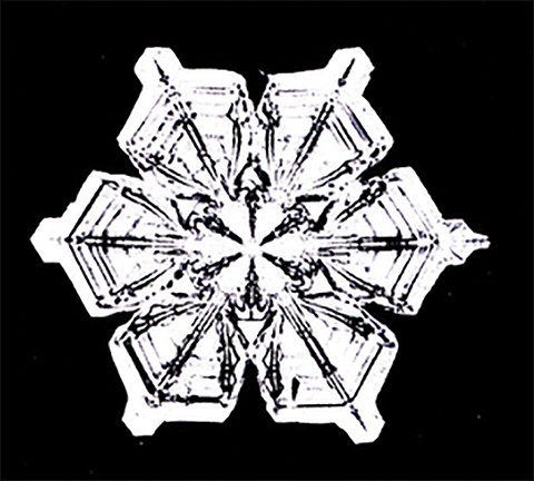 A photograph of a snowflake is shown.