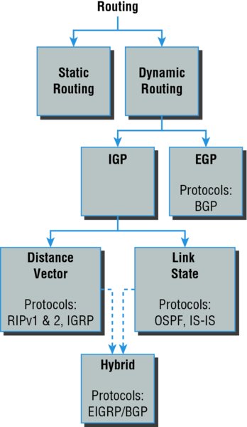 Flowchart shows routing flowtree in which routing divides into static routing and dynamic routing. Dynamic routing divides into IGP and EGP in which IGP divides into distance vector and link state which together forms hybrid.