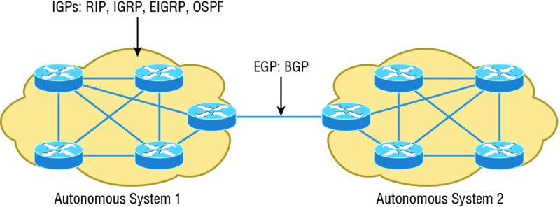 Image shows border gateway protocol (BGP) in which autonomous system 1 (IGPs: RIP, IGRP, EIGRP, OSPF) and autonomous system 2 are linked through EGP: BGP.