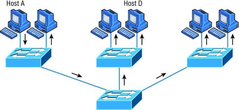 Image shows flat network structure in which host A, host D, and one other host are connected to separate switches which is connected together into single switch. Here, host A sends frame with host B as destination.
