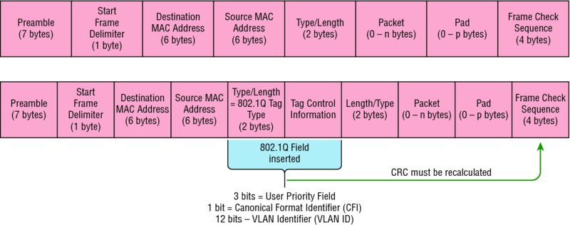 Image shows IEEE 802.1Q encapsulation with and without 802.1Q tag that has common fields such as preamble, start frame delimiter, destination MAC address, source MAC address, type/length, and so on.