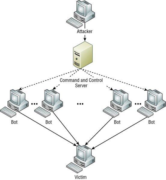 Image shows botnet in which attacker attacks PC through command and control server. Bots on infected PCs log into command and control server under attacker control which sends command to attack victim at same time.