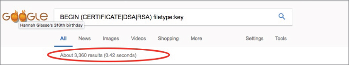 Screenshot of a Google page for getting details of a particular person/organization using RSA private keys that are used to establish a secure connection.