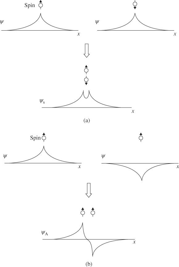 Schematic depiction of the symmetric and antisymmetric wavefunctions and spatial density functions of a two-electron system. (Top) Singlet state with electrons closer to each other on average. (Bottom) Triplet state with electrons further apart on average.