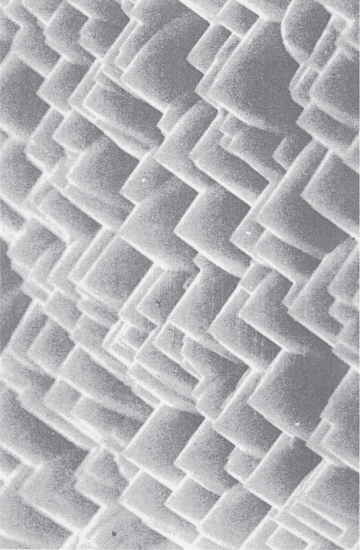 Micrograph of pyramids selectively etched in the surface of a (100) silicon wafer. Sides of the pyramids are {111} planes, which form automatically in a dilute NaOH solution. The pyramids are randomly placed on the surface; however, they are all orientated in the same direction due to the use of single-crystal silicon. 
