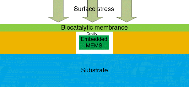 Figure depicts biosensor designed to withstand harsh operating environment.