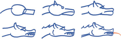Image showing how a dragon's head is drawn (profile view), step by step.