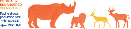 Image containing the silhouettes of four animals. Through their color scheme and positioning, it is conveyed that rhinos and lions are critical or endangered species, with a stable population; and there are two kinds of deer, both with a declining population, one critical or endangered, and the other vulnerable.