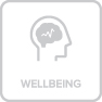 Diagrammatic illustration depicting the factor of well-being.