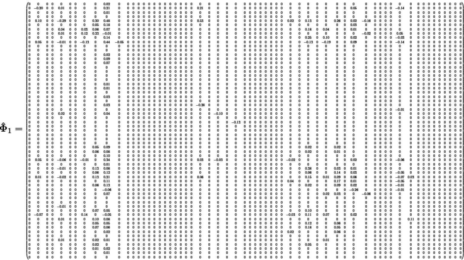 Coefficient matrix of Φ̂1.