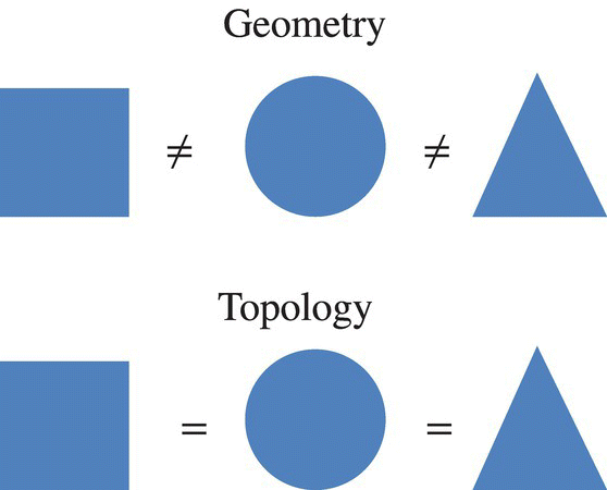 Diagram displaying a square not equal to circle and a circle not equal to triangle in geometry while in topology square is equal to circle and circle is equal to triangle.