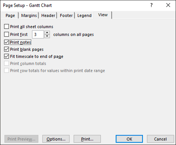 Screenshot of the Page Setup dialog box with the Print Notes check box selected on the View tab for printing notes.