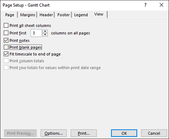 Screenshot of the Page Setup dialog box displaying the View tab for printing a currently displayed view.