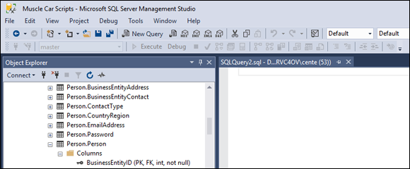 Screenshot of editor pane of the Microsoft SQL Server Management Studio.