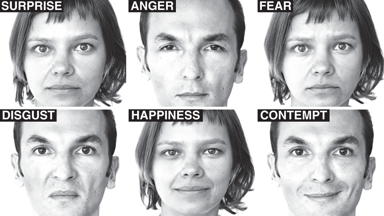 Images of six human faces depicting different micro-expressions such as surprise, anger, and fear in the top row, and disgust, happiness, and contempt in the bottom row.