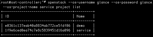 The service user setup