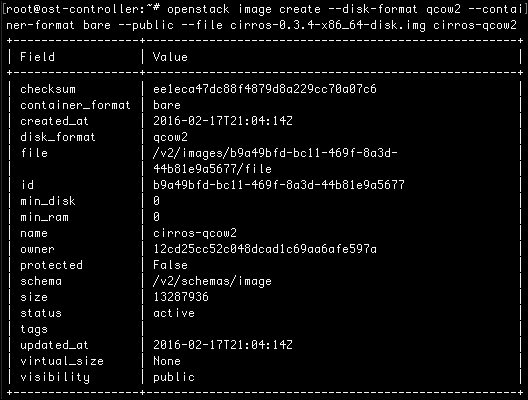 Checking the command-line interface client