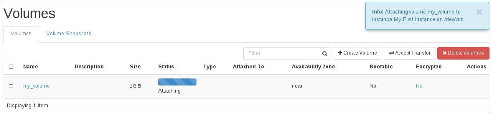 Managing Cinder volumes in the web interface