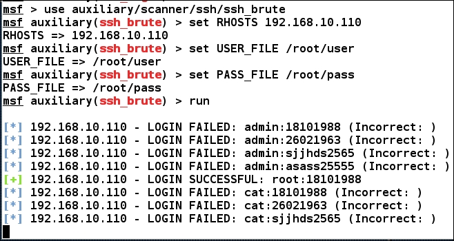 Writing out a custom SSH authentication brute forcer