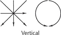 Figure shows two different stroke patterns that are vertical.