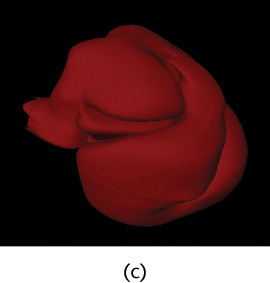 A physical heart model of an embryo made by stereolithography is shown.