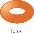 Figure shows two concentric ovals labeled, Torus.