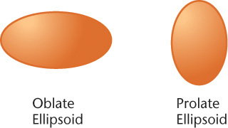 Figure displays an ellipsoid placed horizontally labeled, Oblate ellipsoid. And an ellipsoid labeled, prolate ellipsoid.