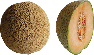 Figure shows a melon cut in half.