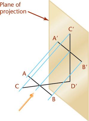 Figure shows the lengths of projections.