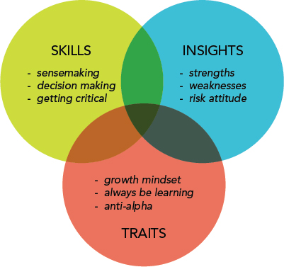Alpine Style Model shows three circles overlapping each other representing skills, insights and traits.