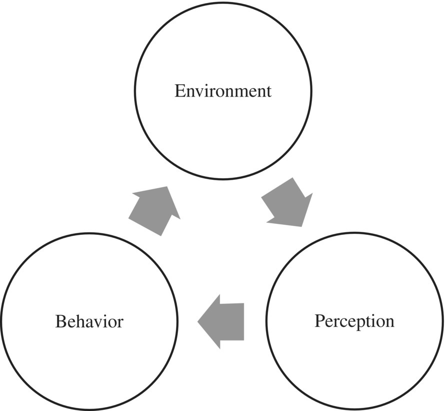 Cycle diagram presenting the flow of influence in unconscious mental processes, with three circles labeled clockwise as environment, perception, and behavior.