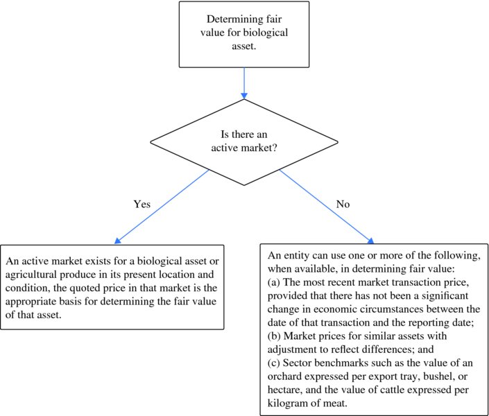Flowchart shows that after determining fair value for biological asset, it is checked whether there is any active market if yes the quoted price in that market is the basis for determining the fair value of that asset if no to determine fair value the most recent market transaction price is considered.