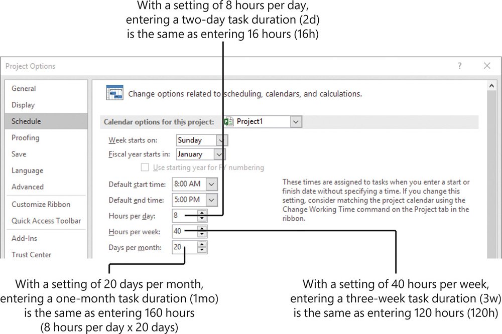 Screenshot of the Schedule tab of the Project Options dialog box.