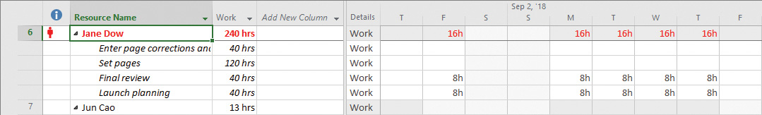 Screenshot of the Resource Usage view has its first row highlighted that reads: Jane Dow and 240 hrs. To its right, 16 h is mentioned for five days excluding weekends.